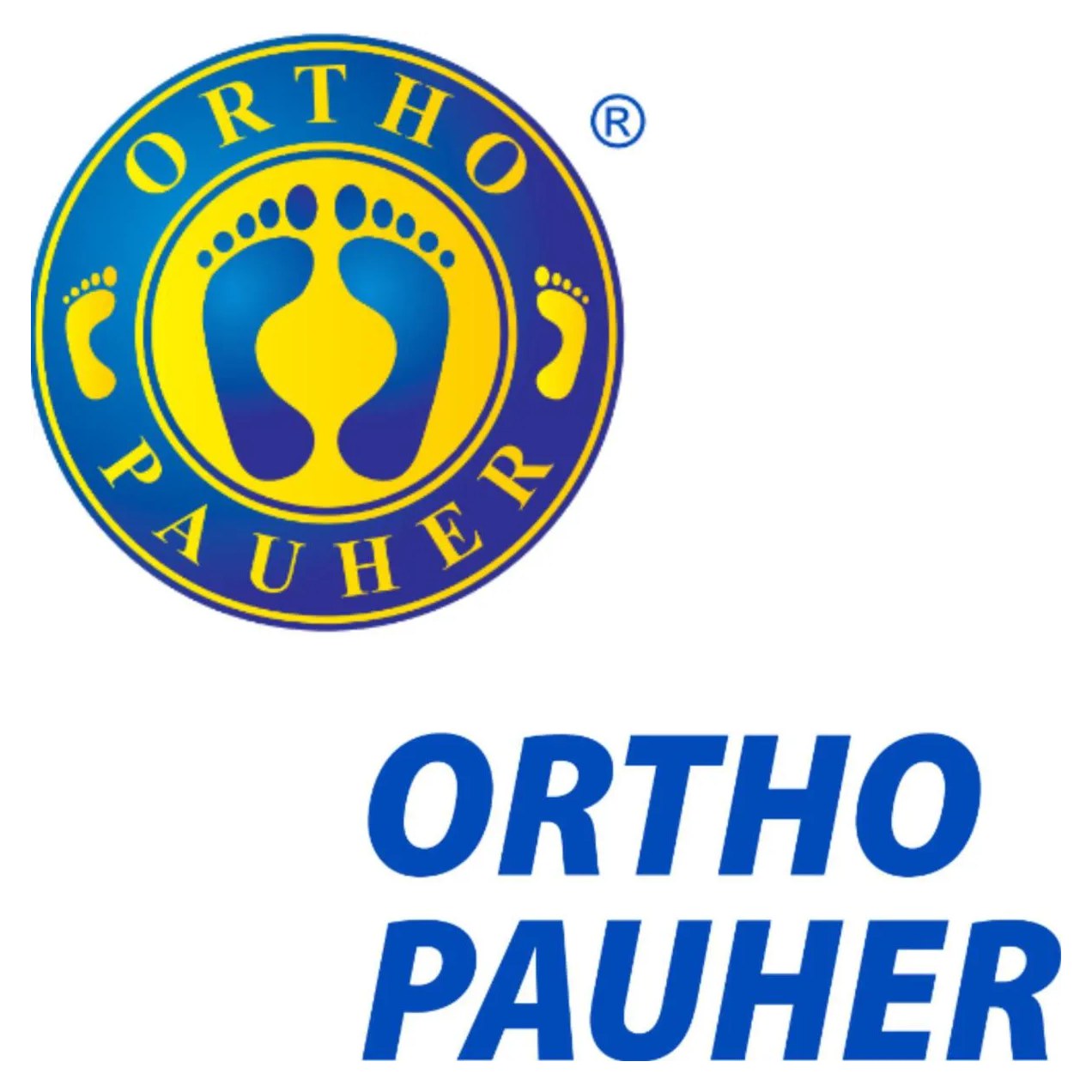 Palmilha de Silicone Ortopédica Anti - Impacto Esportiva Esportão Alívio Dores Ortho Pauher - 43 / 44