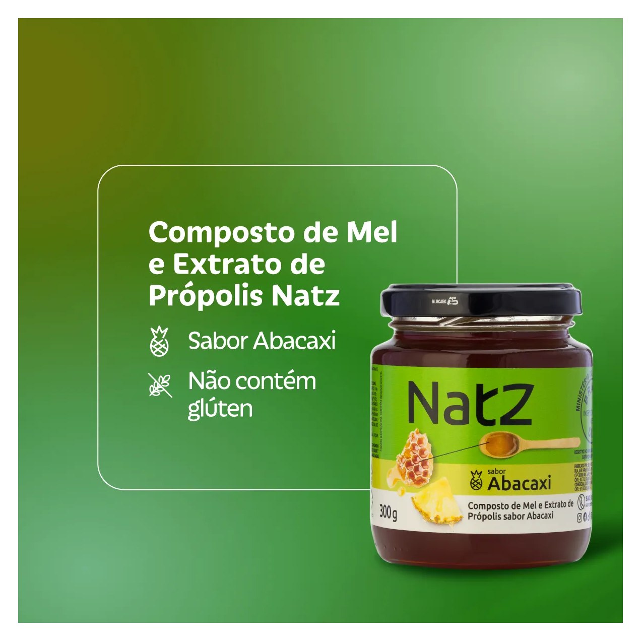 Composto de Mel e Própolis Natz Abacaxi 300g