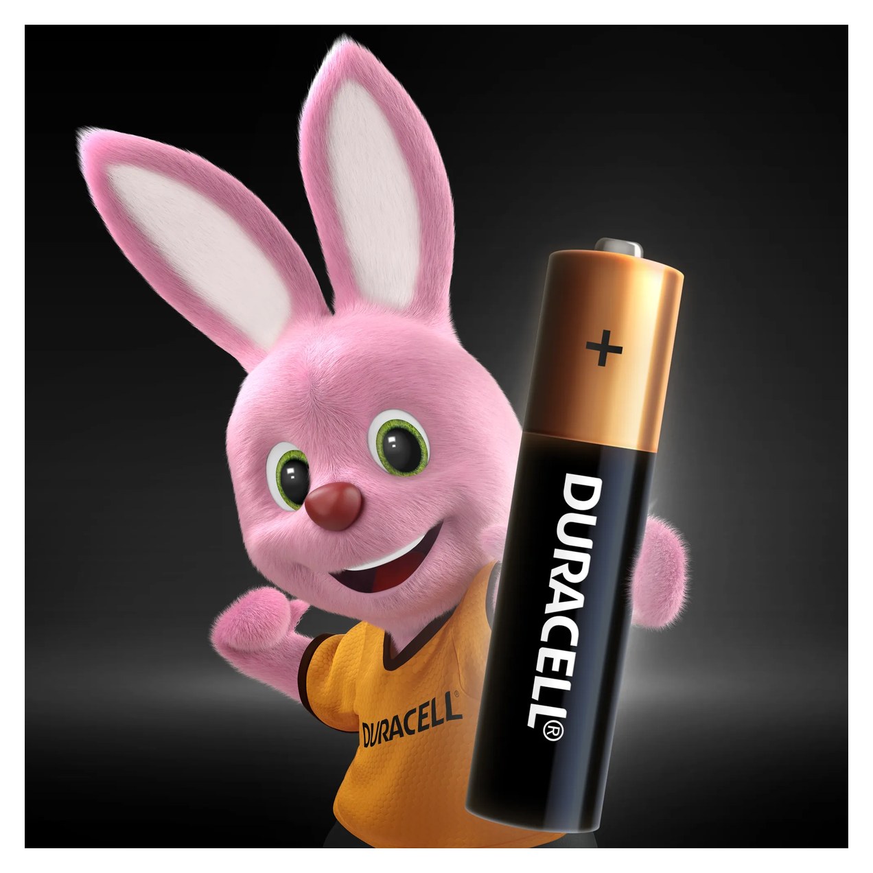 Pilha AAA Duracell Palito com 4 unidades